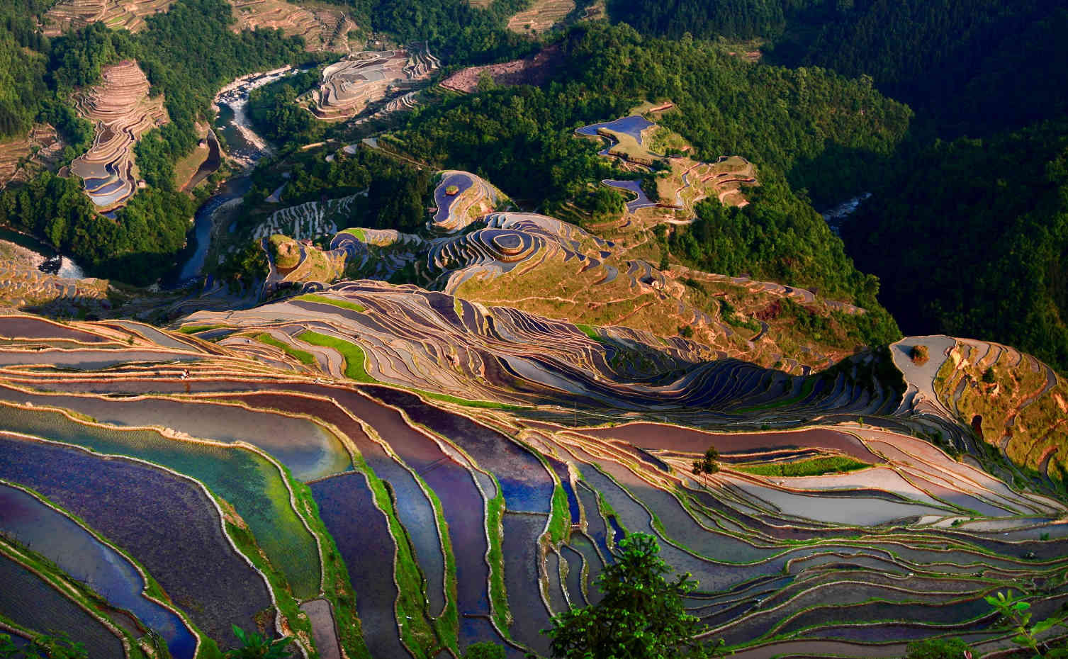 Congjiang Jiabang Terraced Fields